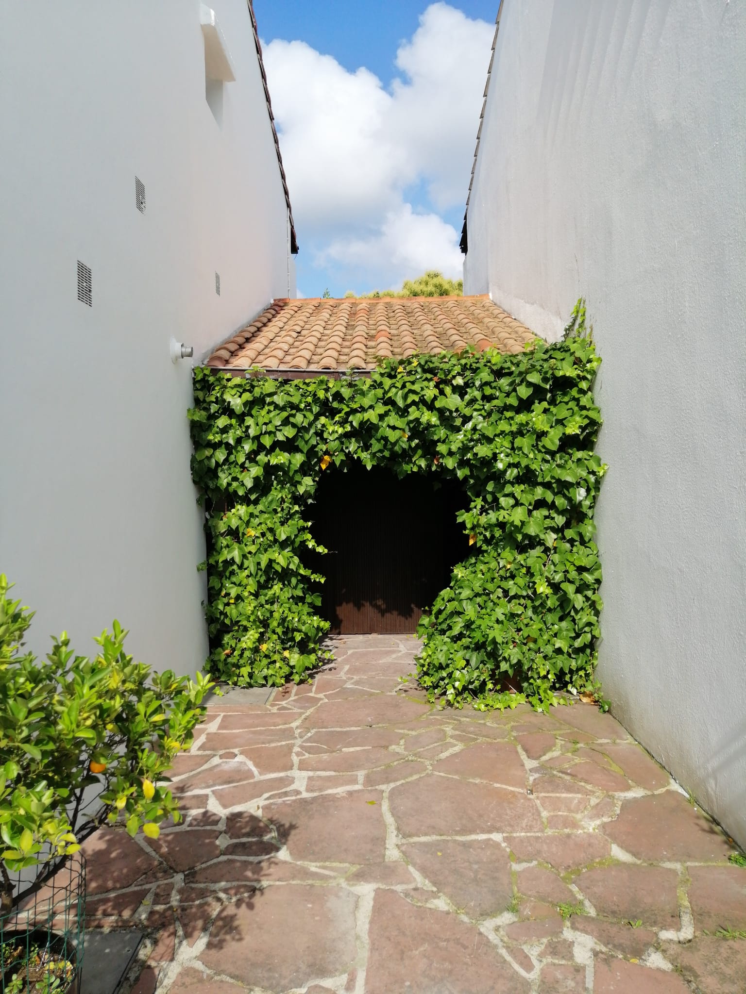 Nous vous aidons à trouver votre foyer
Te ayudamos a encontrar tu hogar