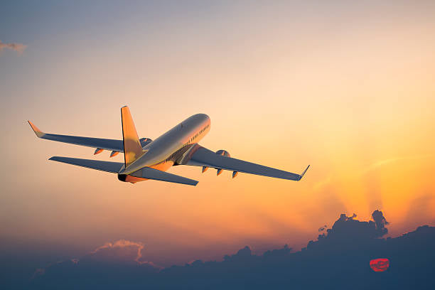 Viajes, Vous n’avez pas le temps d’organiser votre voyage ?