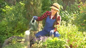 Besoin d’un jardinier ou d’un menuisier ?